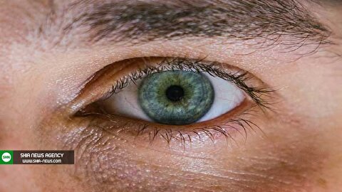 واقعیت هایی در خصوص رنگ چشم هایتان که باید بدانید