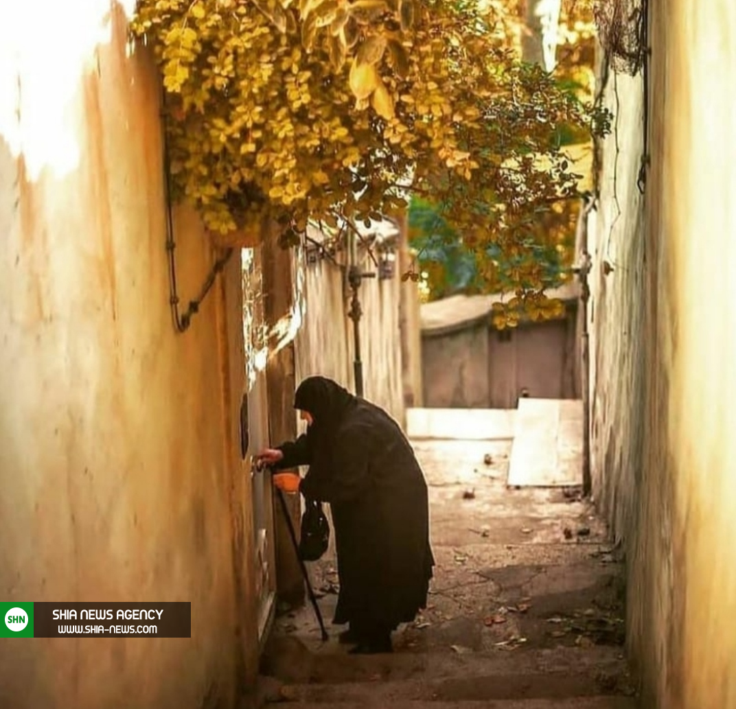 سالمند هر خانواده مانند پیامبر همان خانواده است
