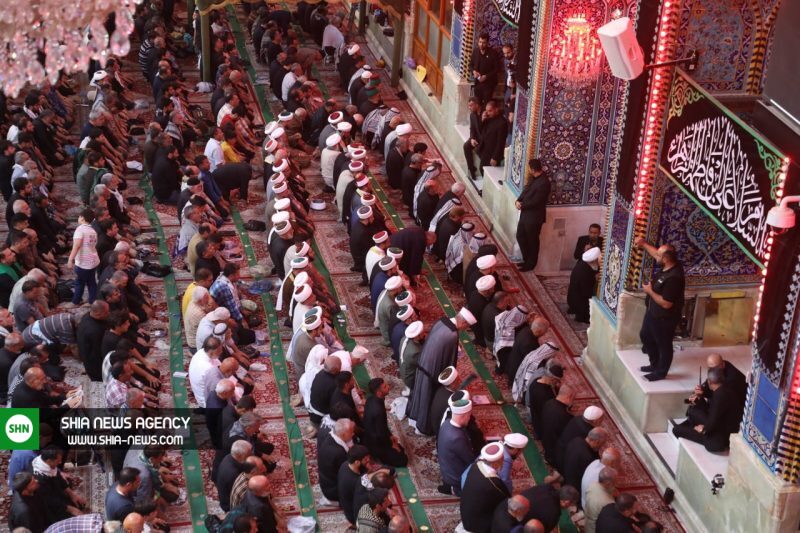 نماز جماعت علمای اهل سنت در حرم امام حسین(ع)+ تصاویر