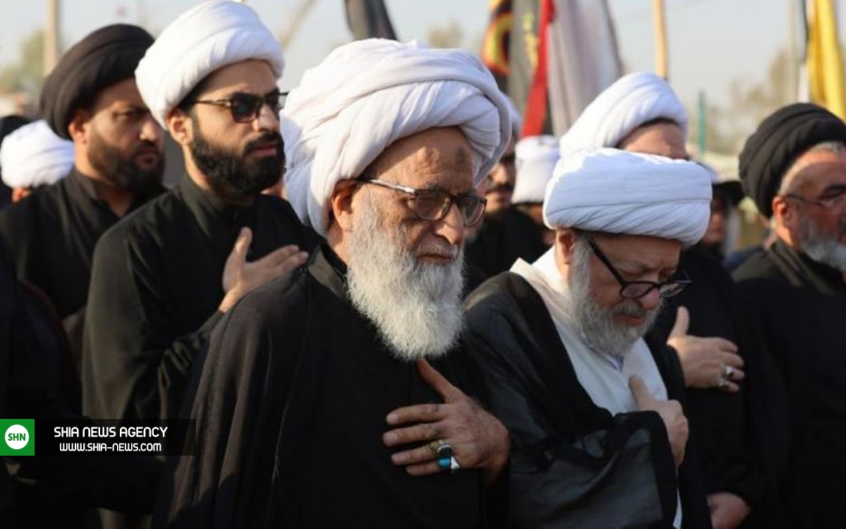 آیت الله بشیر نجفی در پیاده‌روی اربعین+ تصاویر