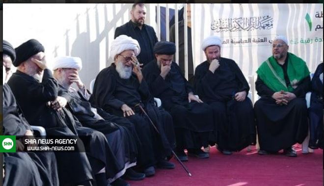 آیت الله بشیر نجفی در پیاده‌روی اربعین+ تصاویر