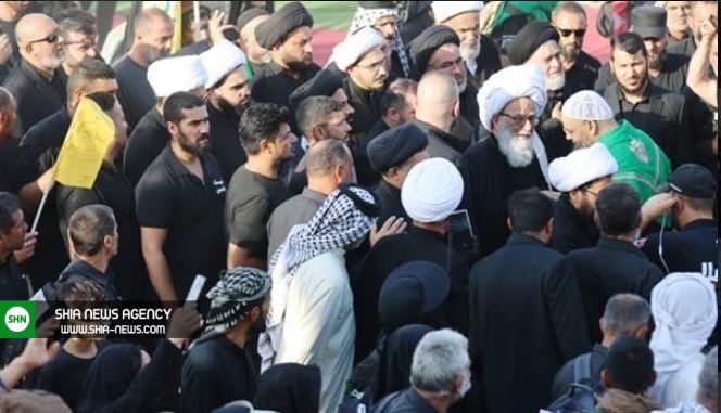 آیت الله بشیر نجفی در پیاده‌روی اربعین+ تصاویر