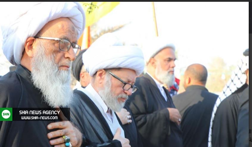 آیت الله بشیر نجفی در پیاده‌روی اربعین+ تصاویر