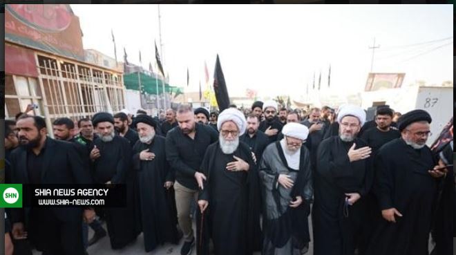 آیت الله بشیر نجفی در پیاده‌روی اربعین+ تصاویر