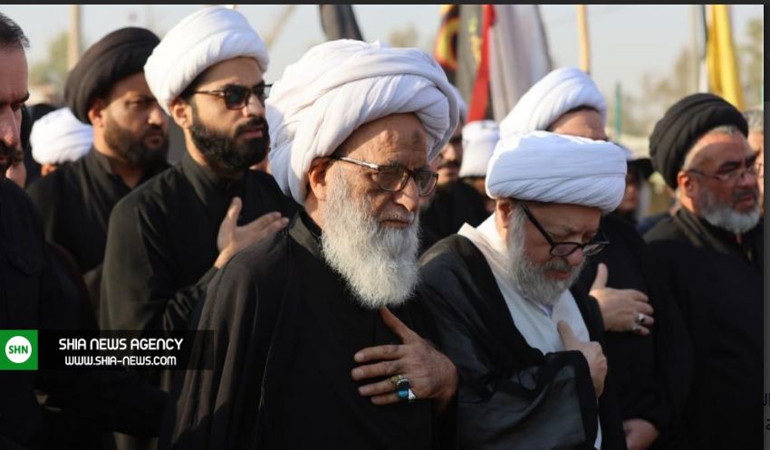 آیت الله بشیر نجفی در پیاده‌روی اربعین+ تصاویر