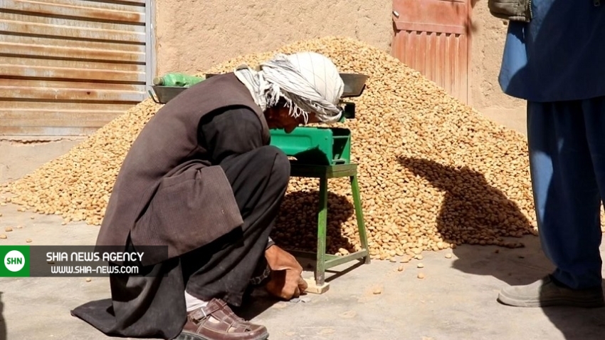 فشار طالبان بر شیعیان هزاره در دایکندی