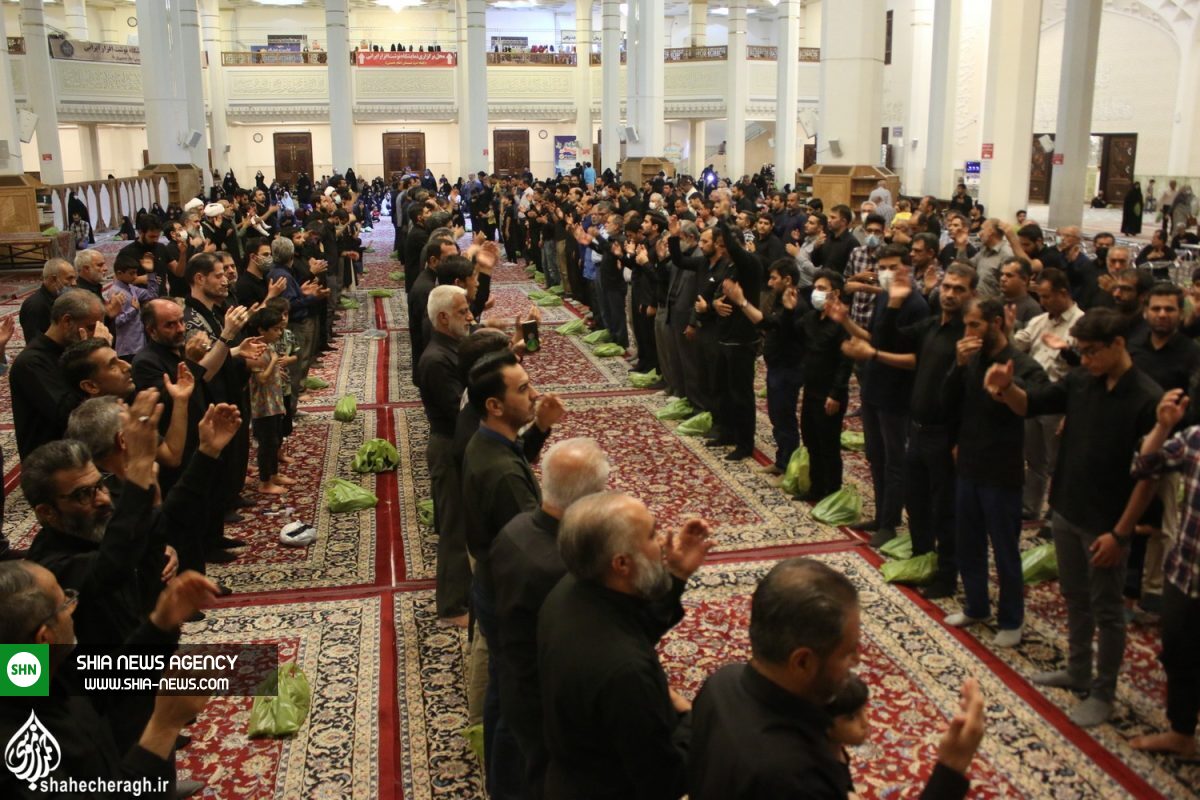 تصاویر/ سوگواری به مناسبت شهادت امام رضا (ع)