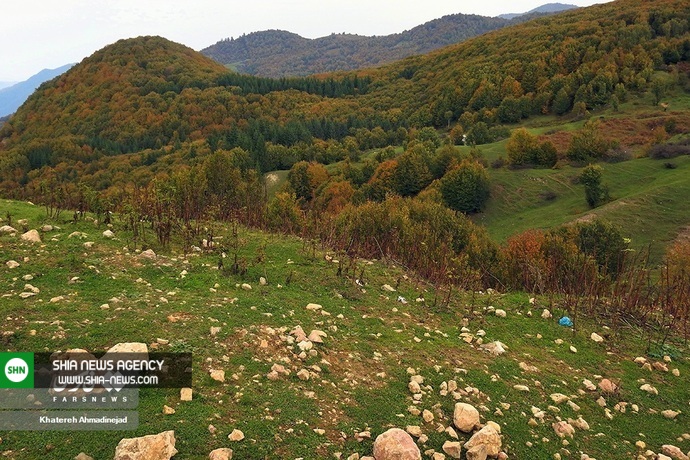 تصاویر/ پاییز رنگارنگ در گیلان تصاویر/ پاییز رنگارنگ در گیلان