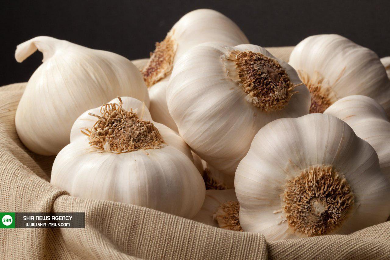 ۱۲ راهکار عالی برای رفع بوی سیر و پیاز در دهان ۱۲ راهکار عالی برای رفع بوی سیر و پیاز در دهان