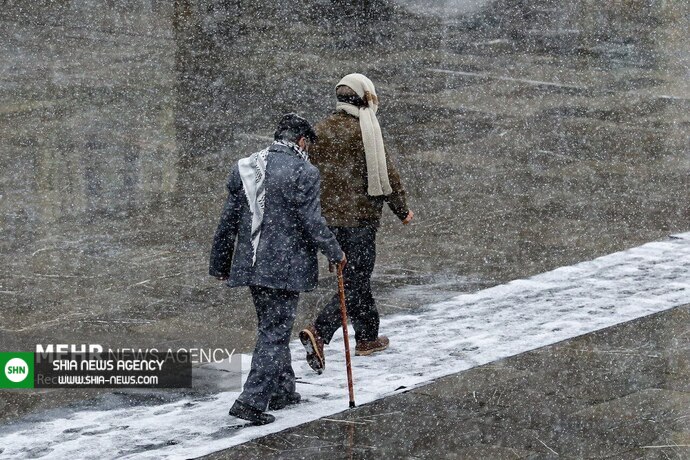 تصاویری زیبا از بارش برف در حرم مطهر امام رضا(ع)