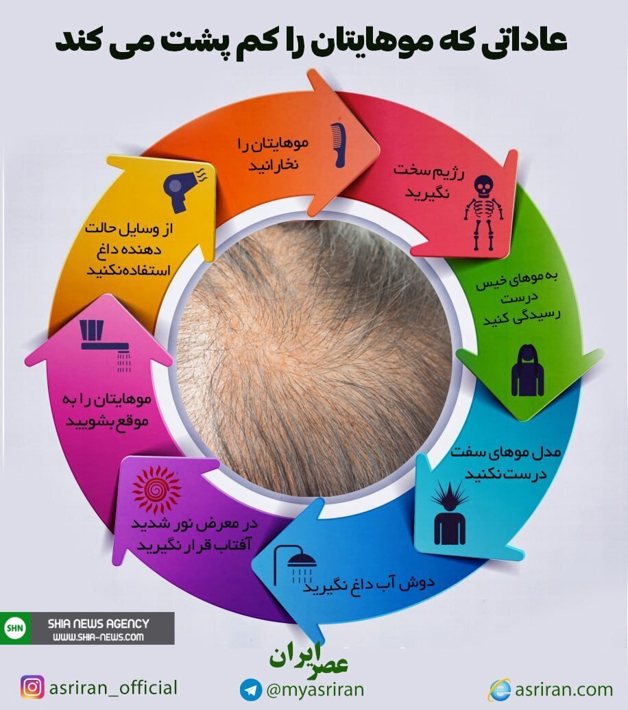 اینفوگرافیک/ عاداتی که موهایتان را کم پشت می کند اینفوگرافیک/ عاداتی که موهایتان را کم پشت می کند