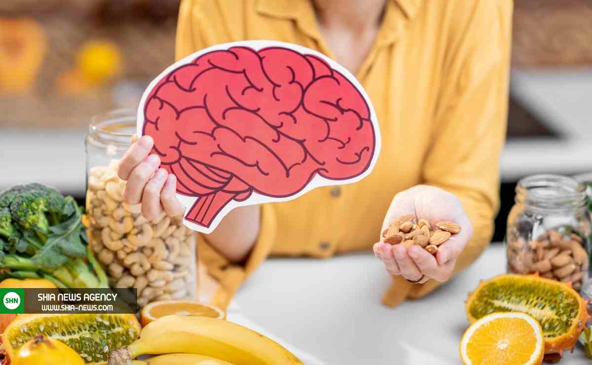 رژیم غذایی برای پیشگیری از ابتلا به زوال حافظه رژیم غذایی برای پیشگیری از ابتلا به زوال حافظه