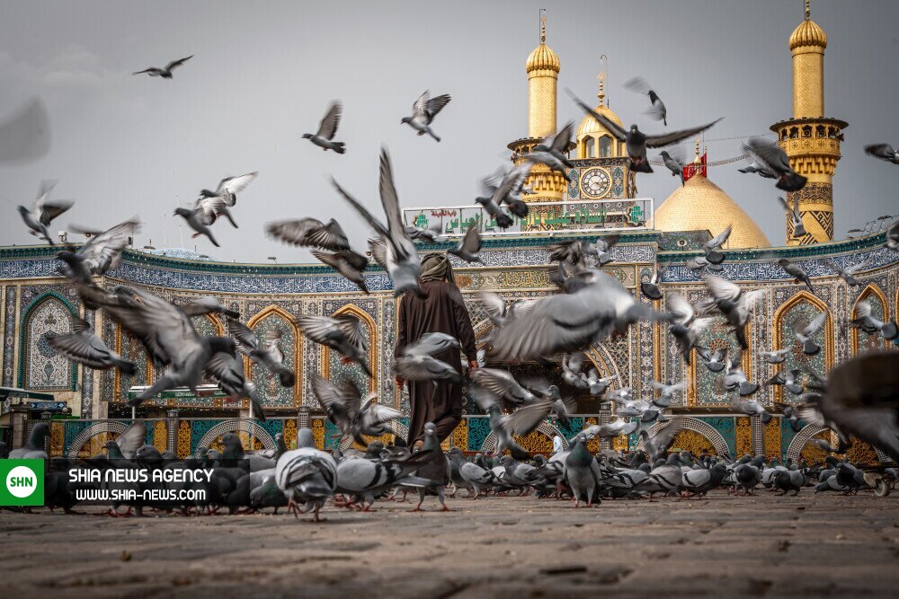 تصاویر/ حال و هوای حرم امام حسین (ع) در ایام ماه مبارک رمضان تصاویر/ حال و هوای حرم امام حسین (ع) در ایام ماه مبارک رمضان