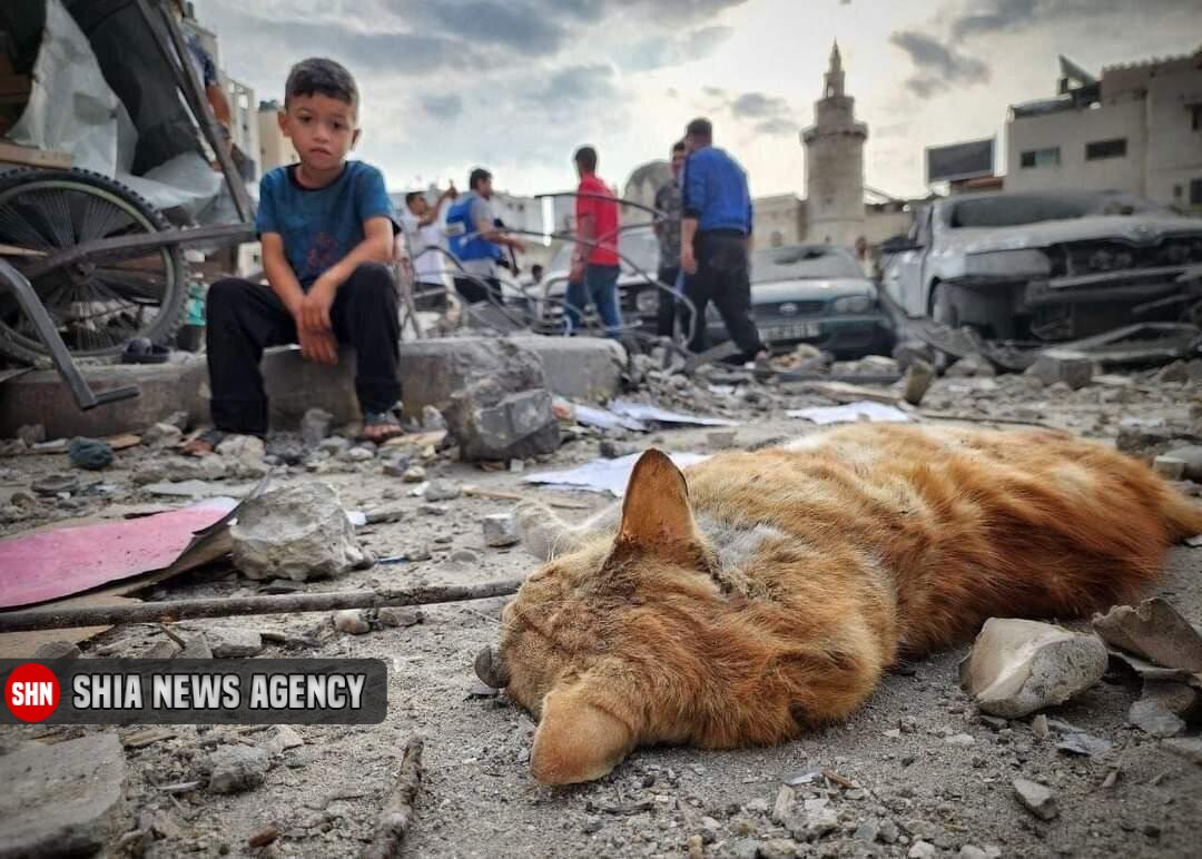 ۱۰۰ روز جنگ در غزه به روایت تصویر ۱۰۰ روز جنگ در غزه به روایت تصویر