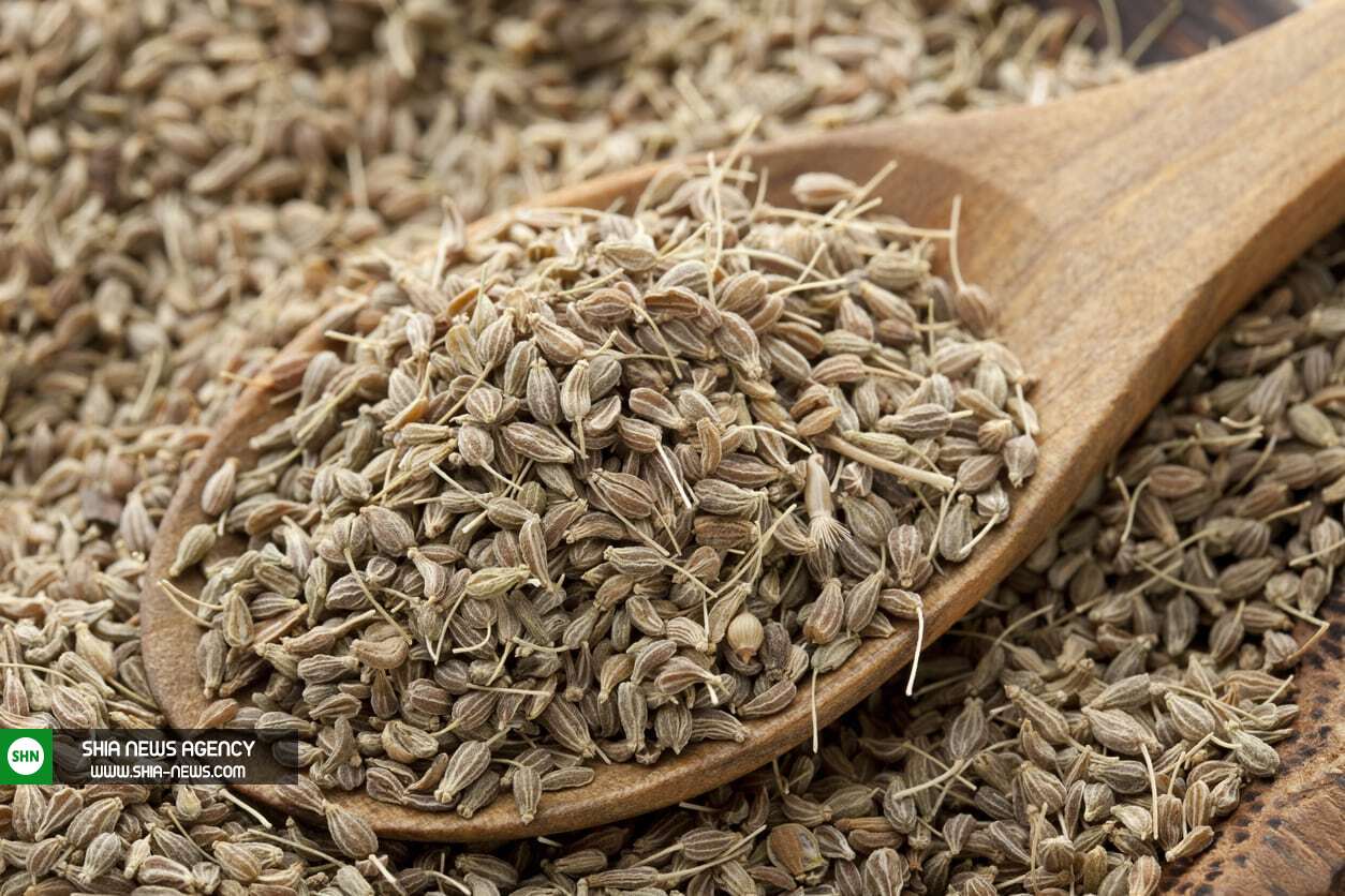 آشنایی با خواص درمانی انیسون