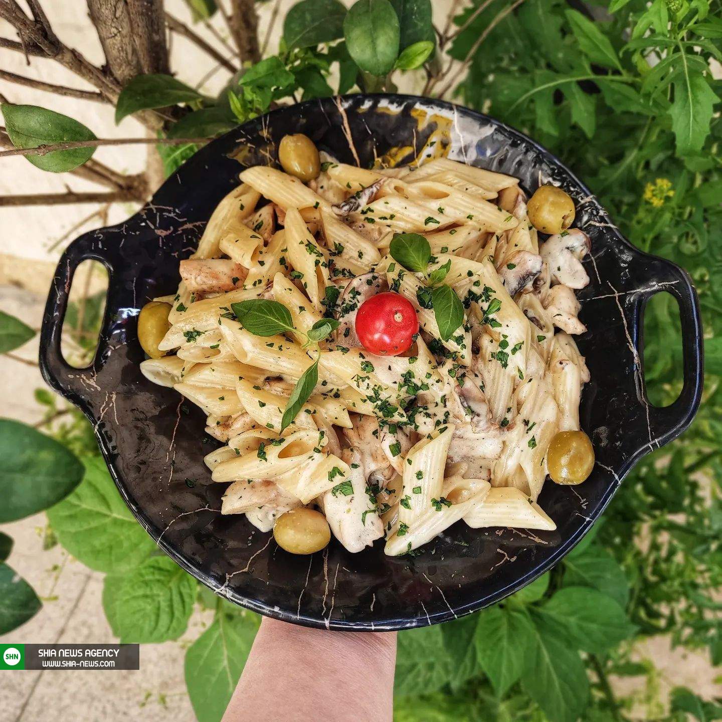 5 نکته بسیار مهم برای پخت پاستا آلفردو رستورانی 5 نکته بسیار مهم برای پخت پاستا آلفردو رستورانی