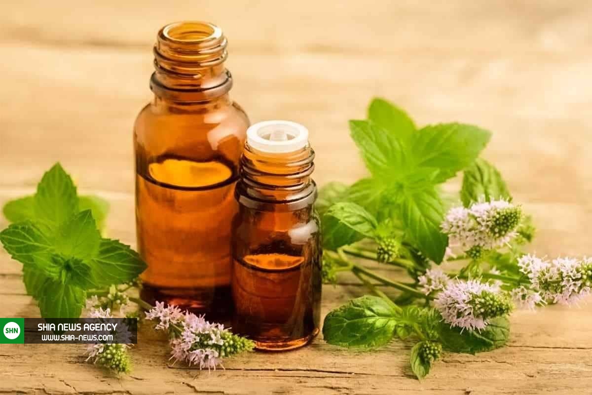 بهترین روغنهای گیاهی برای داشتن موهای پرپشت بهترین روغنهای گیاهی برای داشتن موهای پرپشت