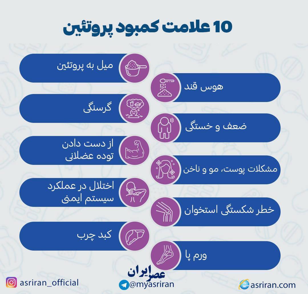 اینفوگرافیک/ 10 علامت کمبود پروتئین در بدن اینفوگرافیک/ 10 علامت کمبود پروتئین در بدن