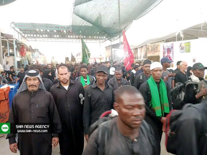 تصاویر/ پیاده روی شیعیان نیجریه در جاده نجف-کربلا