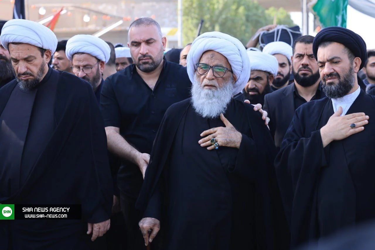 تصاویر/ حضور آیت الله بشیر نجفی در پیاده روی اربعین حسینی