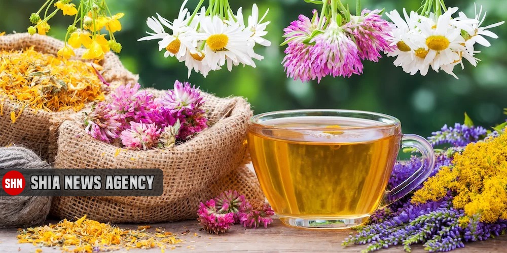 11 چای مفید و فوق العاده برای درمان کم خونی