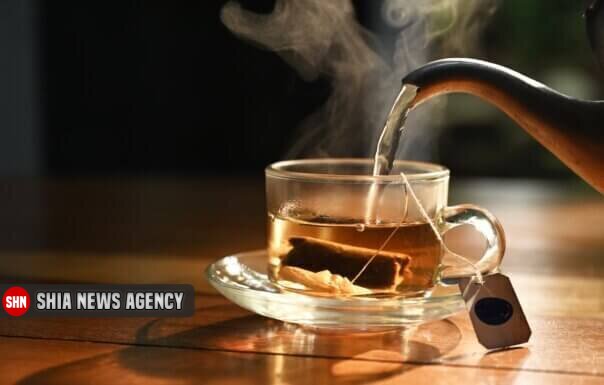 ۷ تقویت‌کننده گیاهی برتر برای افزایش انرژی