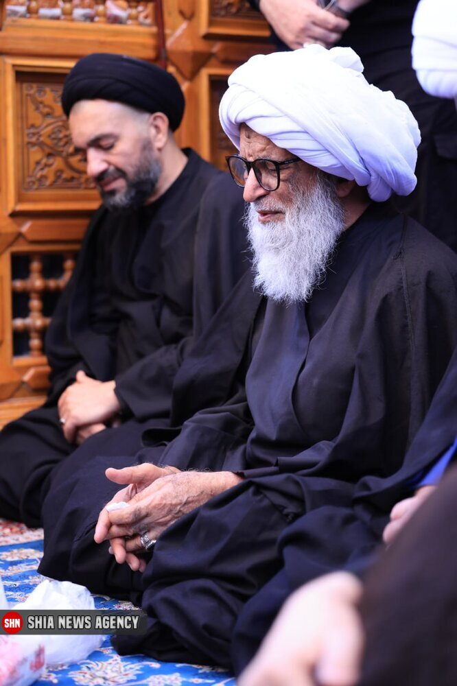 تصاویر/ راهپیمایی آیت الله بشیر نجفی در روز شهادت حضرت زهرا (س)