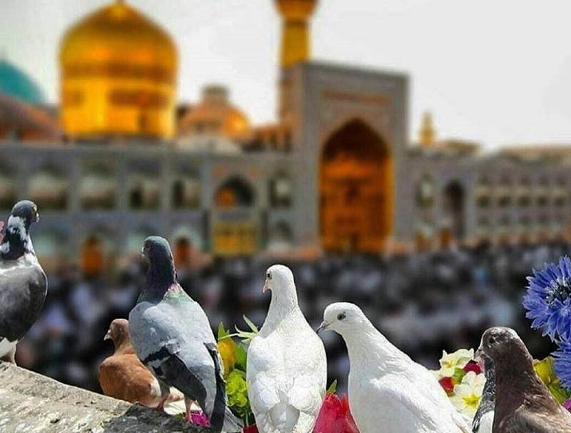 چه زمانی بهترین وقت برای بازدید از مشهد است؟ چه زمانی بهترین وقت برای بازدید از مشهد است؟