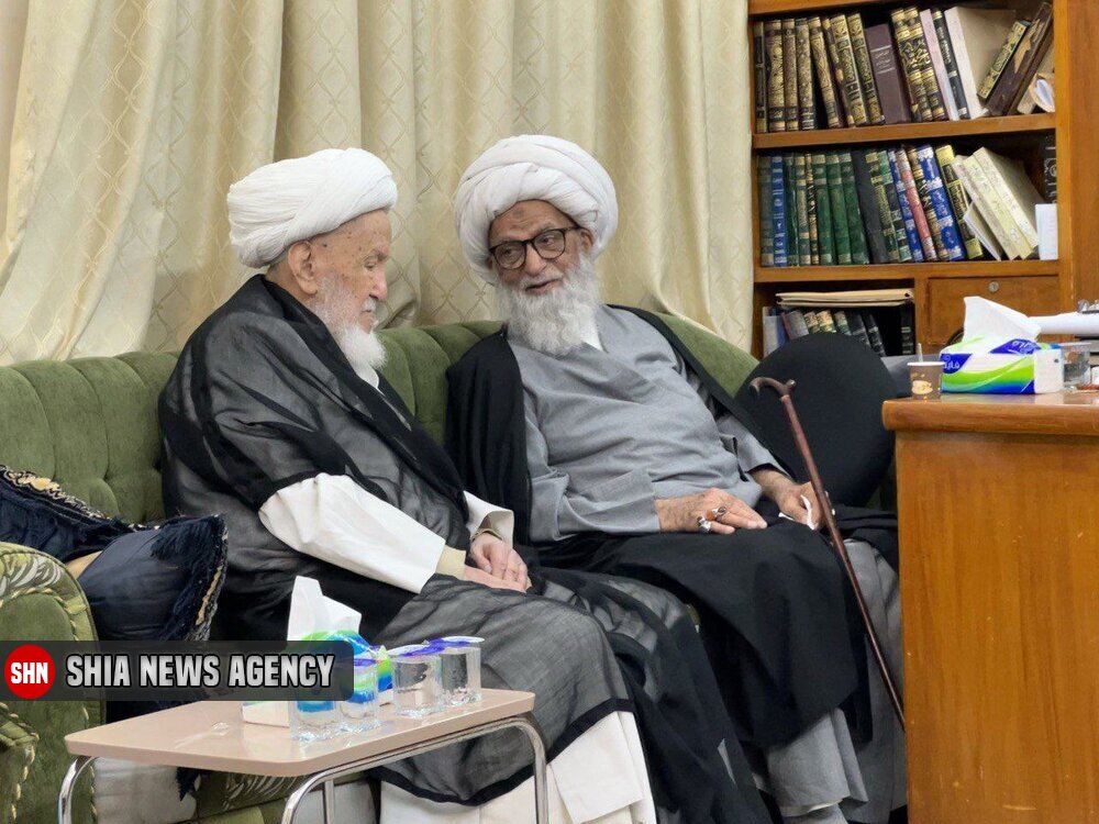 آیت الله بشیر نجفی با آیات عظام سیستانی و فیاض دیدار کردند + تصاویر آیت الله بشیر نجفی با آیات عظام سیستانی و فیاض دیدار کردند + تصاویر