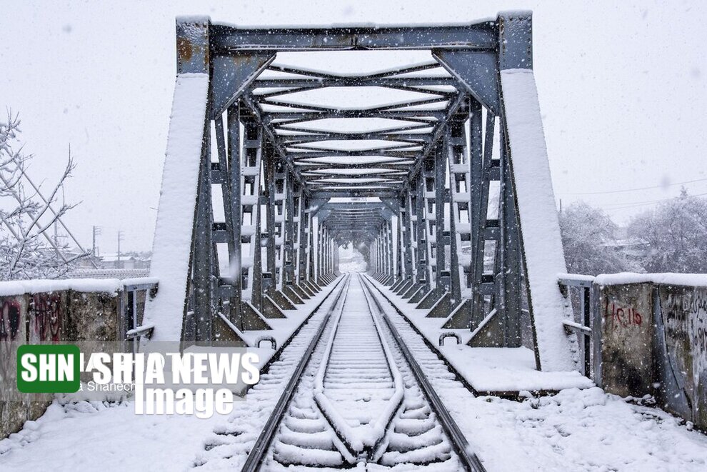 ساری در برف