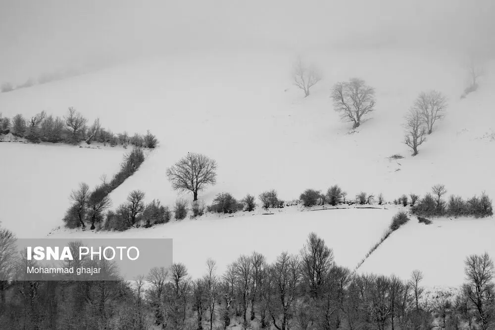 تصاویر زیبا از طبیعت استان گلستان در زمستان