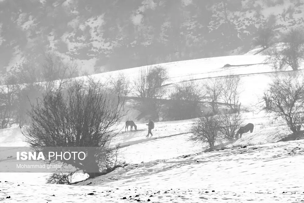 تصاویر زیبا از طبیعت استان گلستان در زمستان