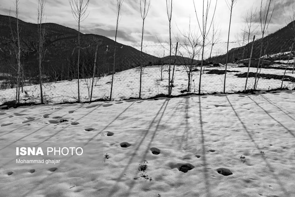 تصاویر زیبا از طبیعت استان گلستان در زمستان