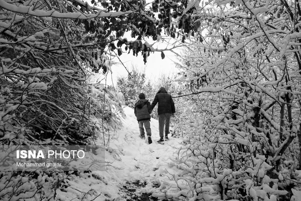 تصاویر زیبا از طبیعت استان گلستان در زمستان