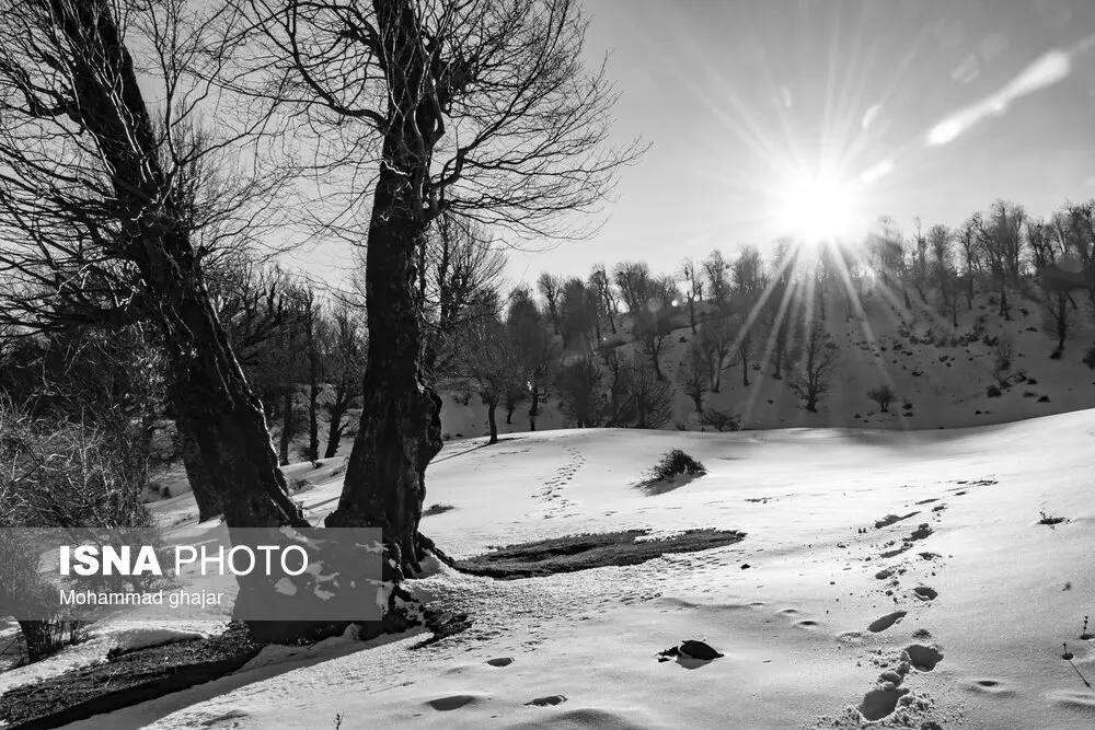 تصاویر زیبا از طبیعت استان گلستان در زمستان