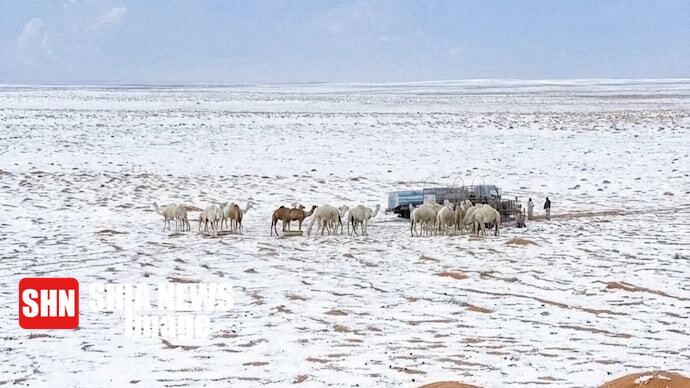 بارش برف بیسابقه در عربستان + تصاویر بارش برف بیسابقه در عربستان + تصاویر