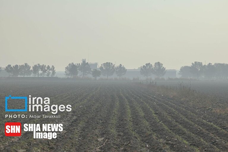 تصاویر | تهران زیر ابری از دود و ذرات خطرناک
