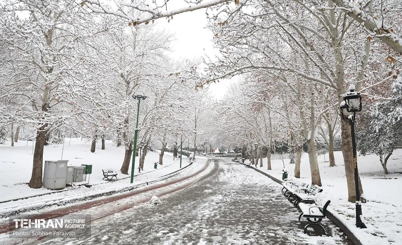 تصاویری از بارش برف در شمال تهران