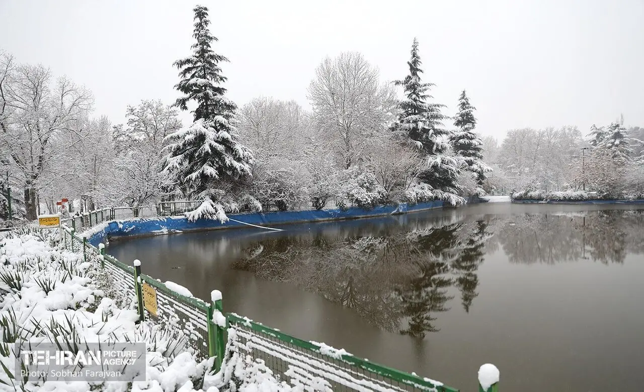 تصاویری از بارش برف در شمال تهران