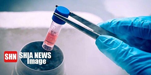 فریز جنین برای چه افرادی انجام می‌شود؟