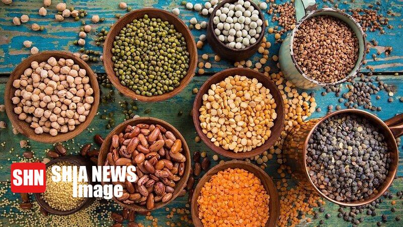 معرفی پروتئین‌های گیاهی بدون کلسترول و سرشار از فیبر