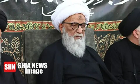 بیانیه آیت الله بشیر نجفی در پی حمله مرگبار به مسجد خدیجة‌الکبری