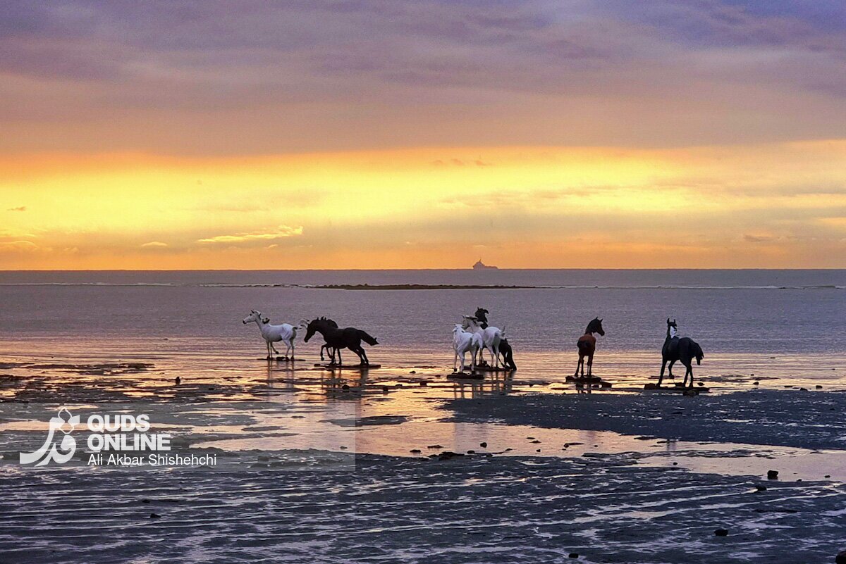 تصاویری از غروب زیبای بندر بوشهر