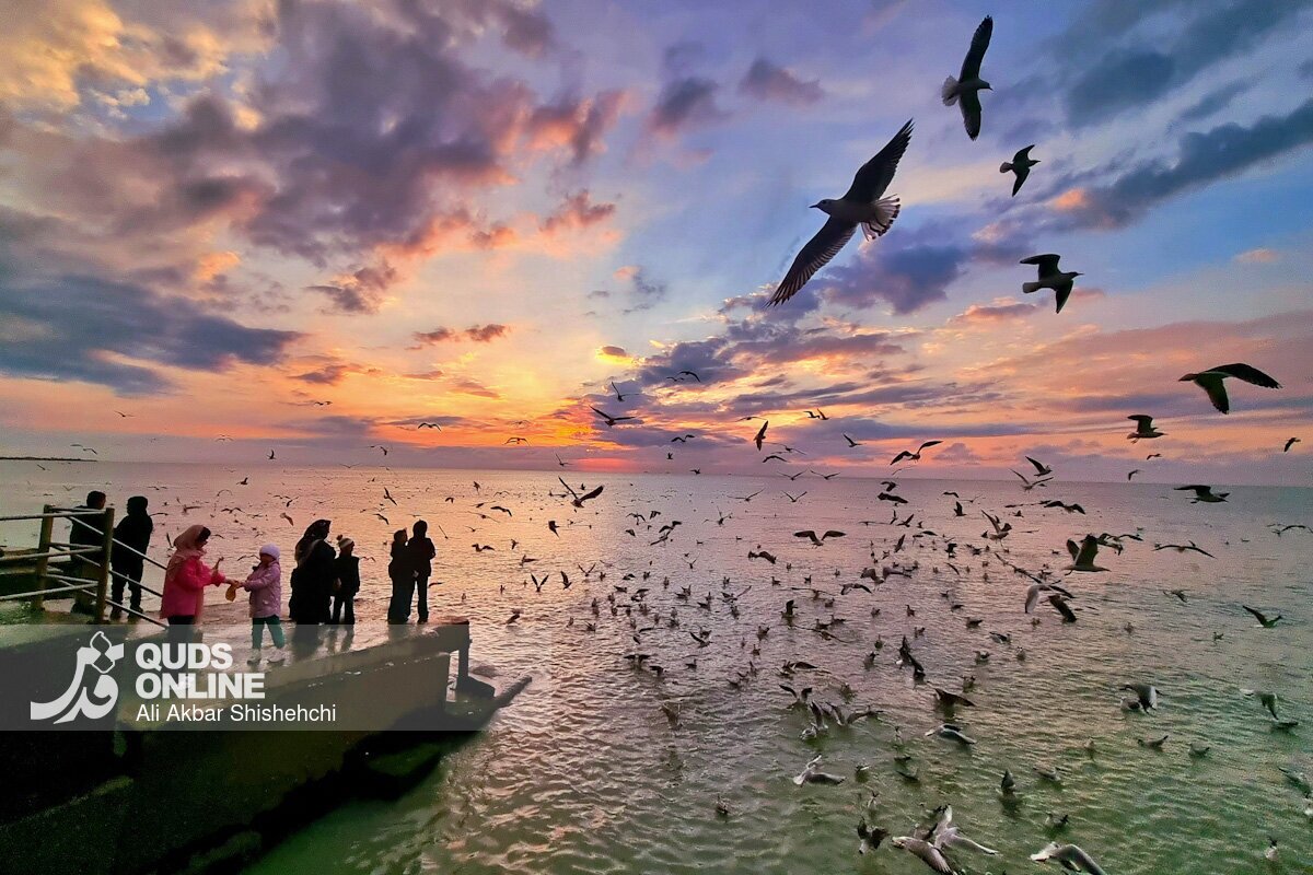 تصاویری از غروب زیبای بندر بوشهر