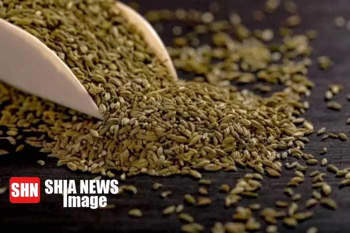 ادویه های مفید برای رفع چربی شکم و پهلو