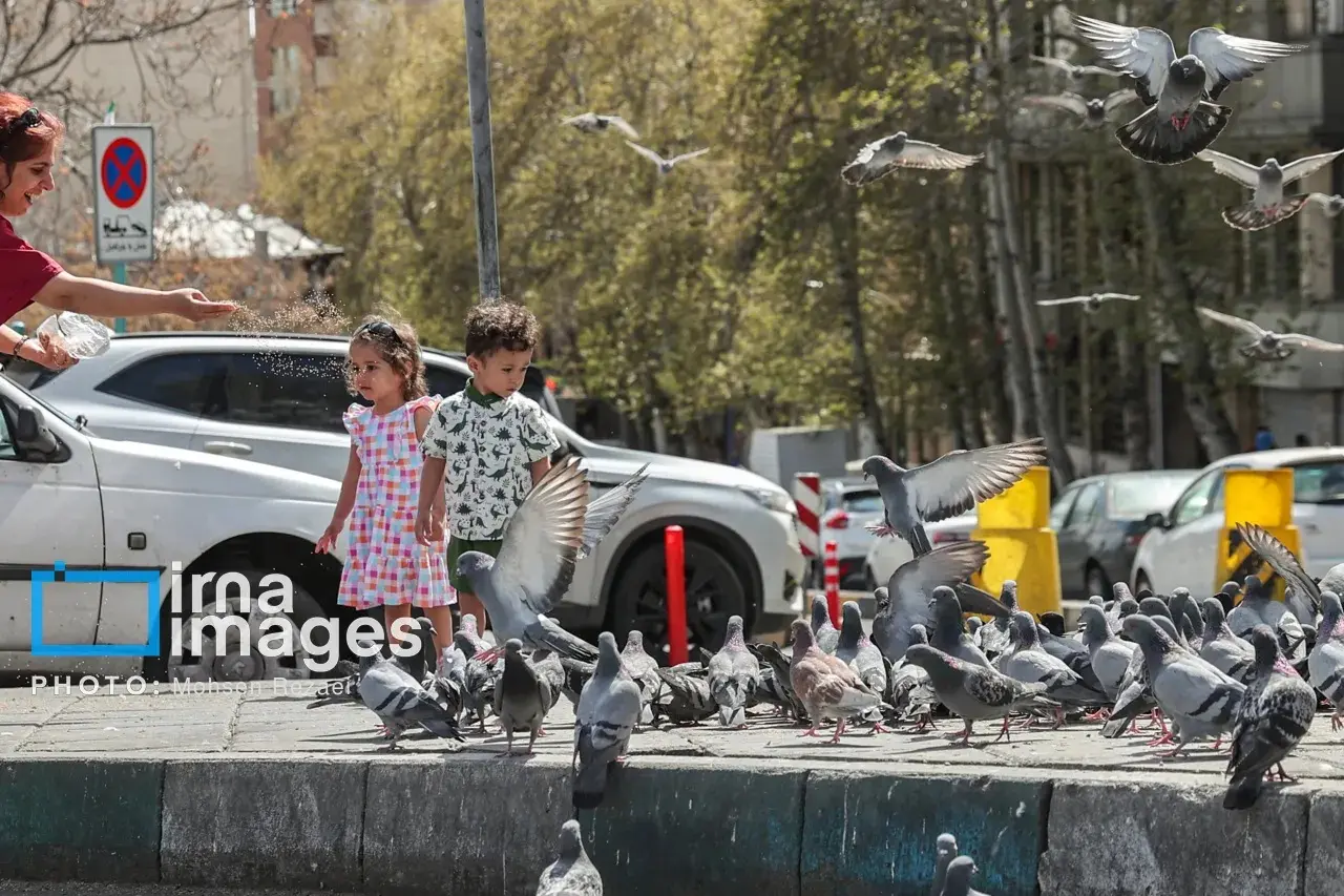 تصاویر | تهرانِ پس از آتش‌بس