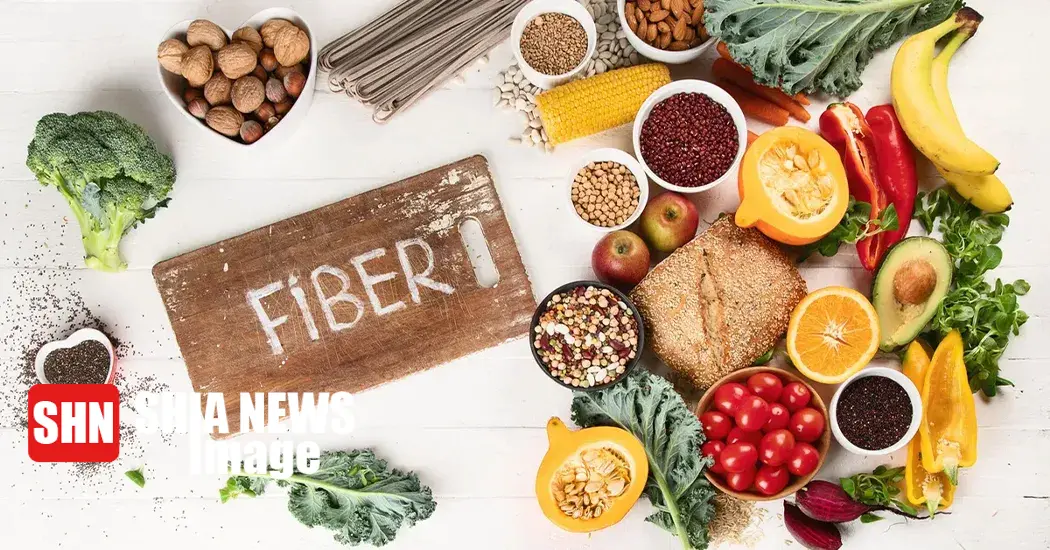 ۲۰ ماده ی غذایی عالی برای هضم بهتر و سریع ۲۰ ماده ی غذایی عالی برای هضم بهتر و سریع