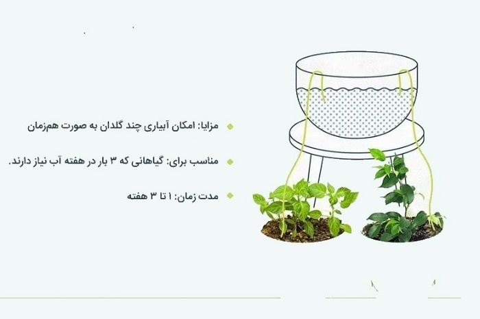 روش های ساده برای آبیاری گیاهان در سفر طولانی روش های ساده برای آبیاری گیاهان در سفر طولانی