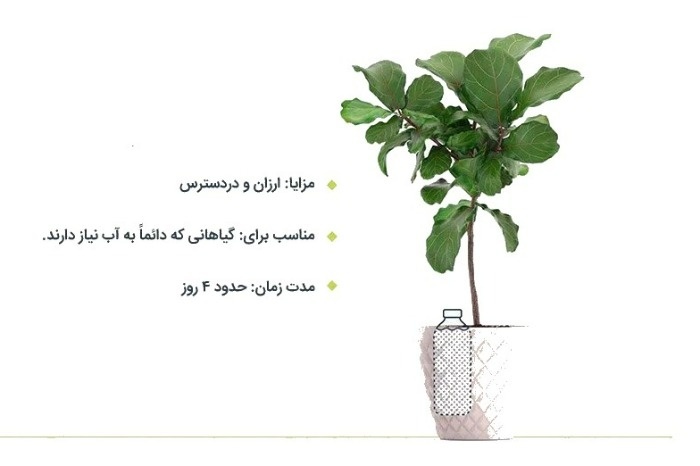 روش های ساده برای آبیاری گیاهان در سفر طولانی روش های ساده برای آبیاری گیاهان در سفر طولانی