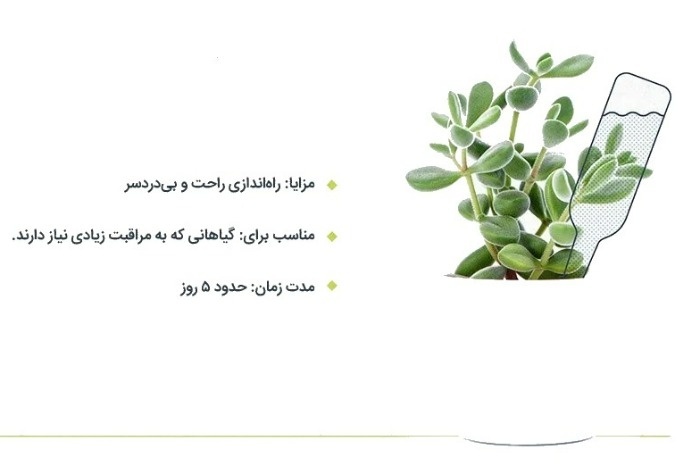 روش های ساده برای آبیاری گیاهان در سفر طولانی روش های ساده برای آبیاری گیاهان در سفر طولانی